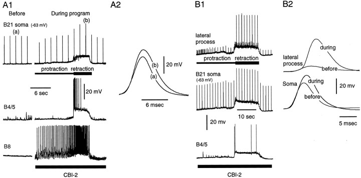 Fig. 11.