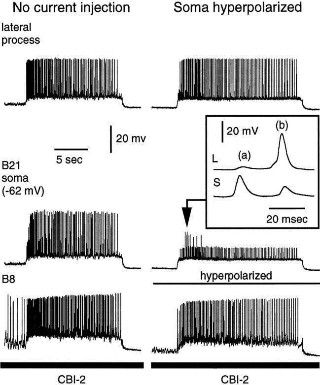 Fig. 10.