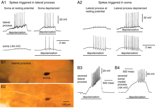 Fig. 4.