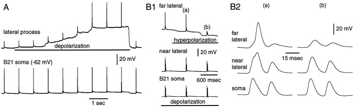 Fig. 5.