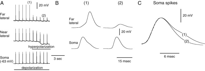 Fig. 8.