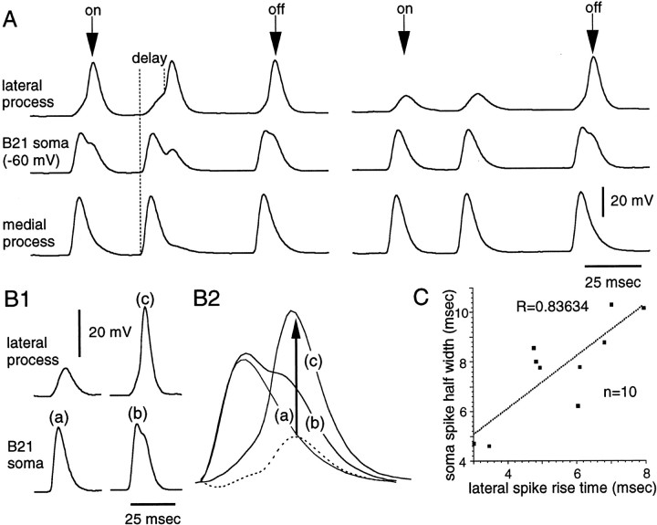 Fig. 7.