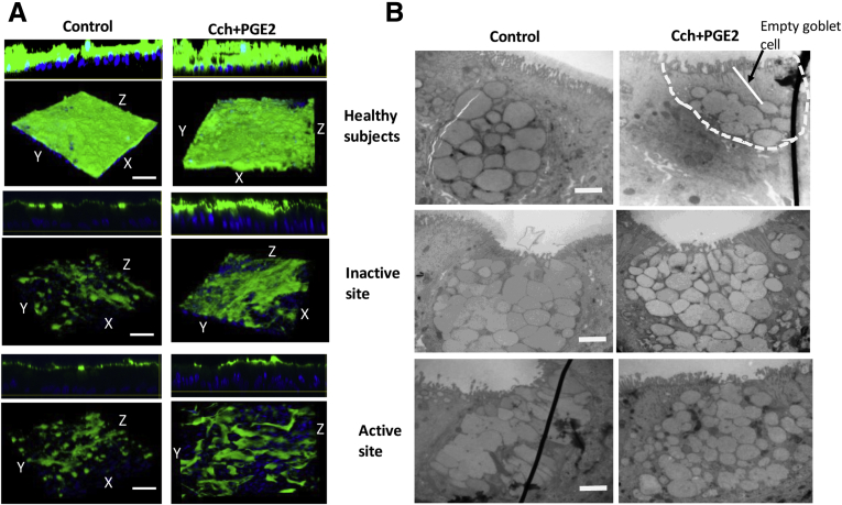 Figure 6