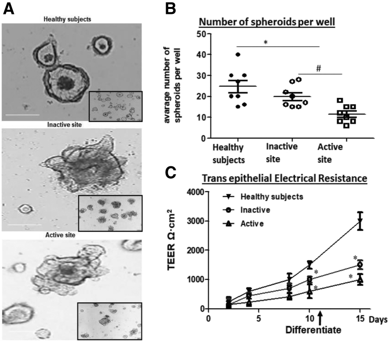 Figure 1