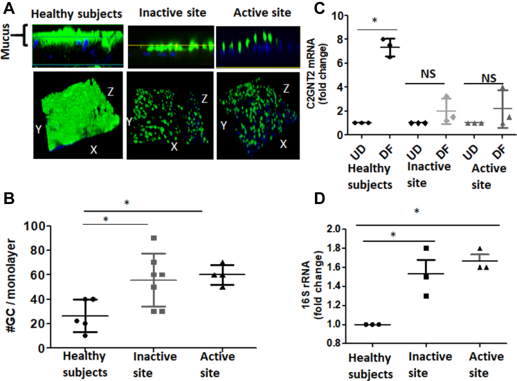 Figure 2