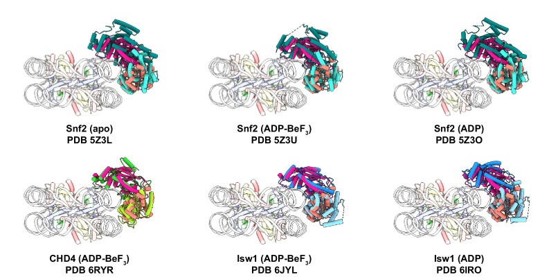 Figure 2—figure supplement 2.