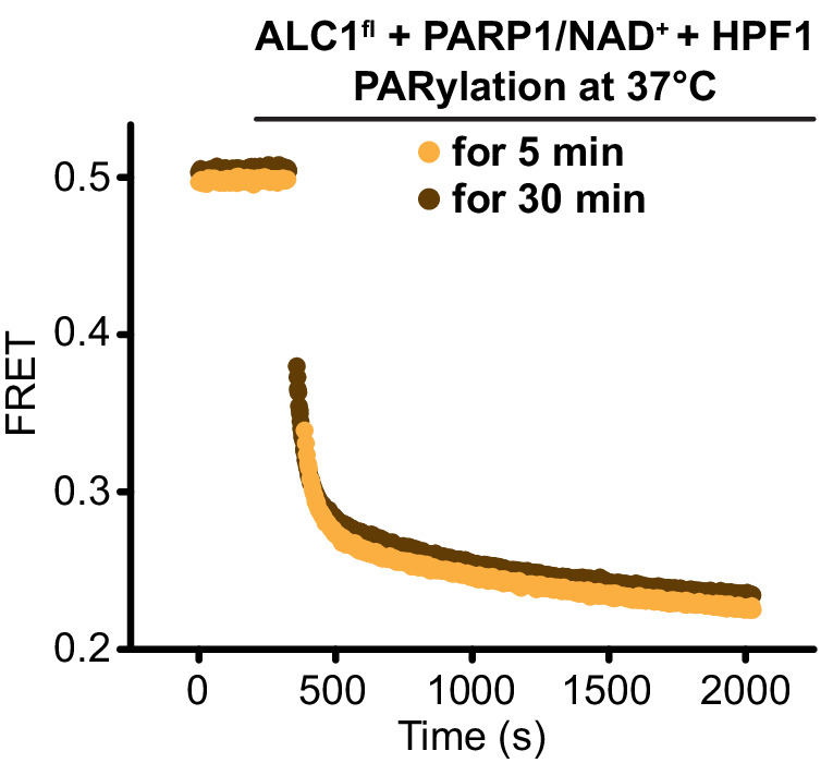 Figure 1—figure supplement 2.