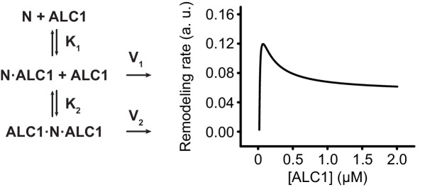 Figure 5—figure supplement 1.