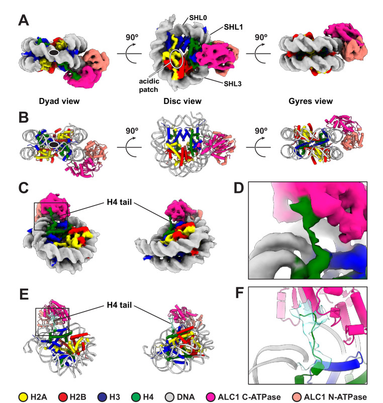 Figure 2.