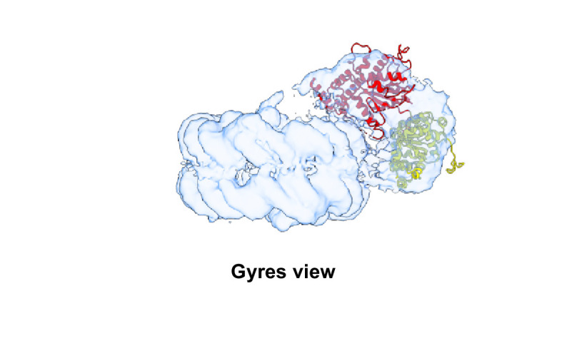 Figure 3—figure supplement 2.