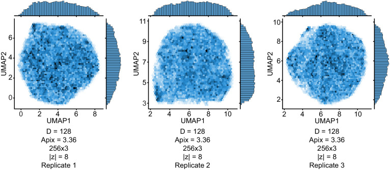 Figure 3—figure supplement 1.