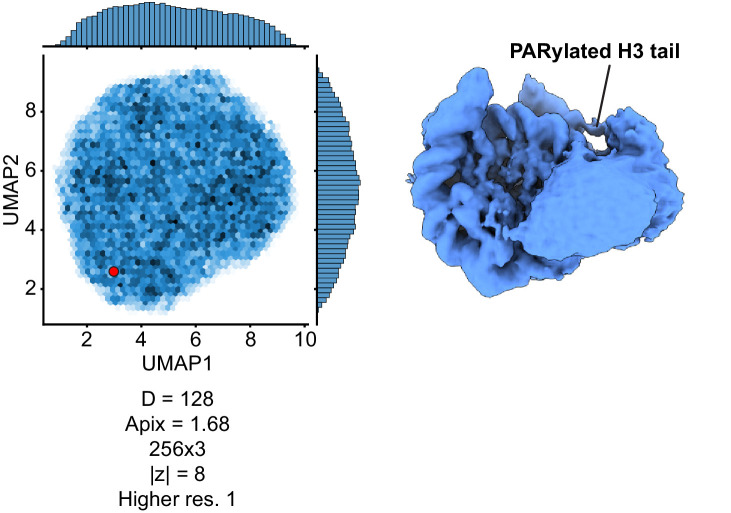 Figure 4—figure supplement 1.