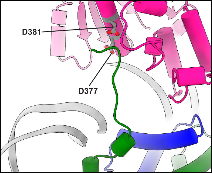 Figure 2—figure supplement 3.