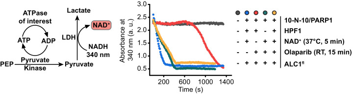 Figure 5—figure supplement 5.