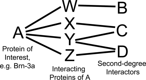 FIGURE 1.