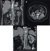 Fig. 9