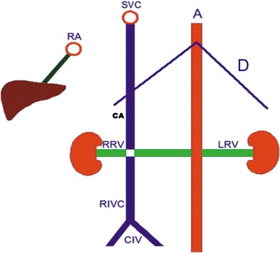 Fig. 12