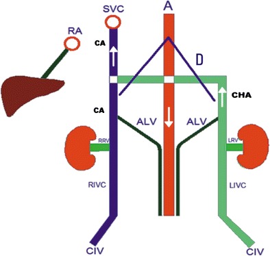 Fig. 10