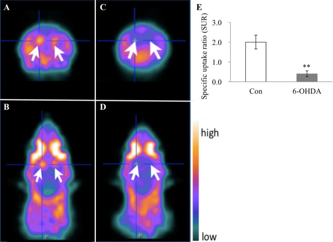 Fig. 4.