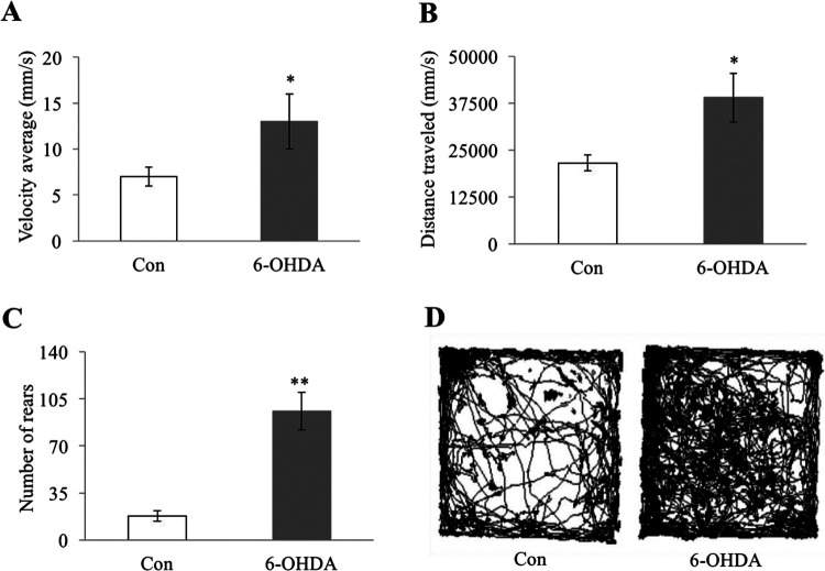 Fig. 2.