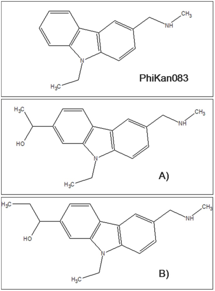 Figure 7