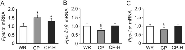 Fig. 9.