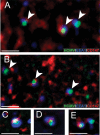 FIG 9