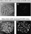 FIG 2