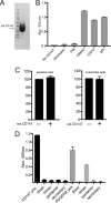 FIG 6