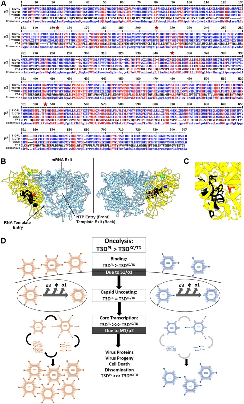 FIG 6