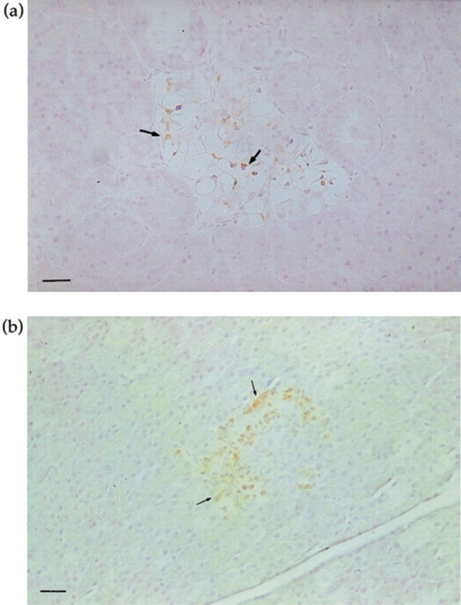 Fig 6.