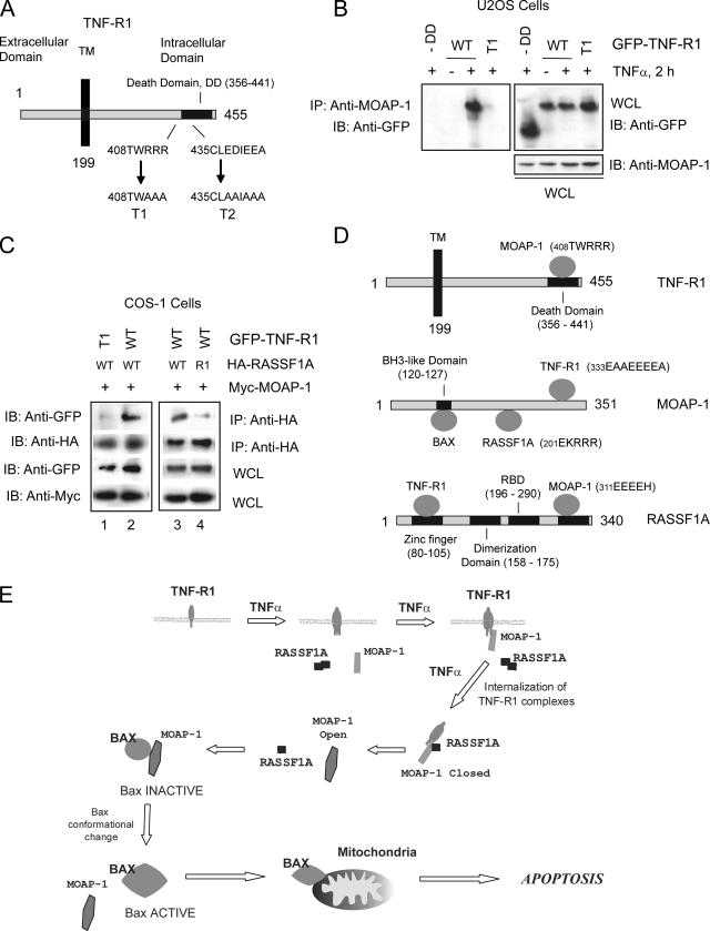 FIG. 8.