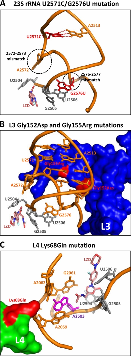 FIG. 4.