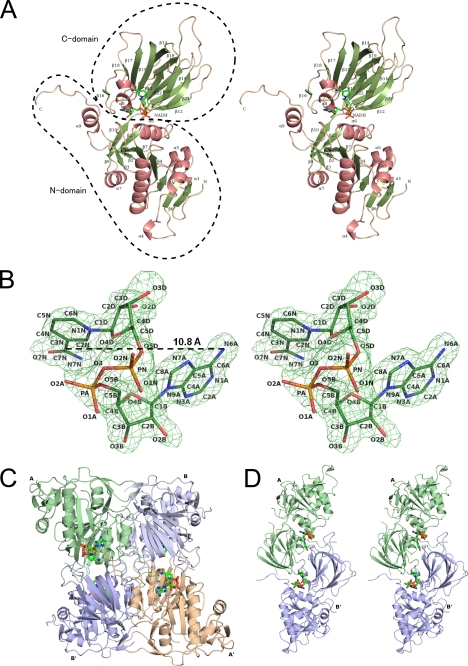 FIGURE 1.