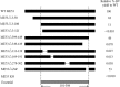 FIG 10