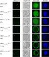 FIG 6