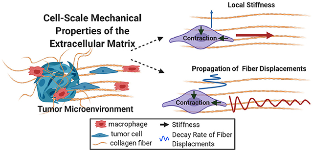 graphic file with name nihms-1776655-f0008.jpg