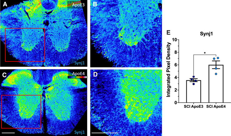 FIG. 4.