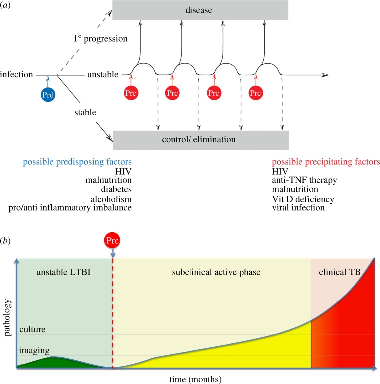 Figure 3.