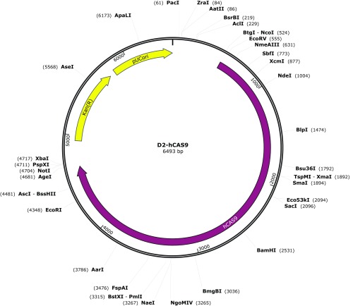 Fig. S5.