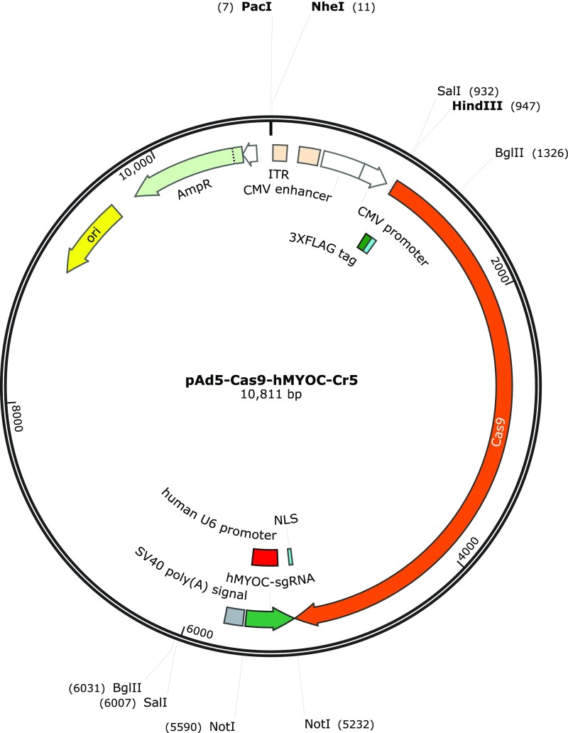 Fig. S6.