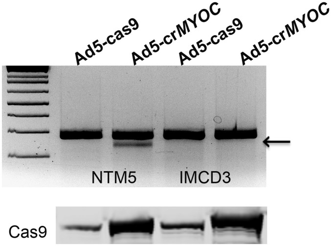 Fig. S3.