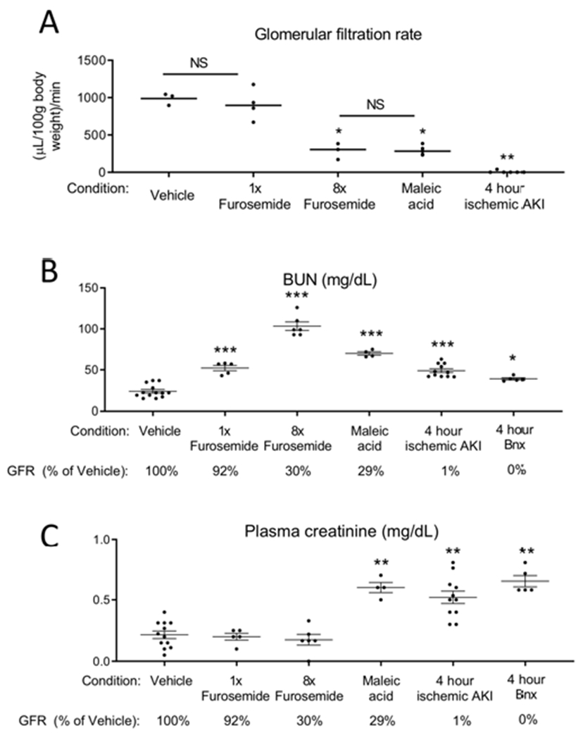 Figure 11.