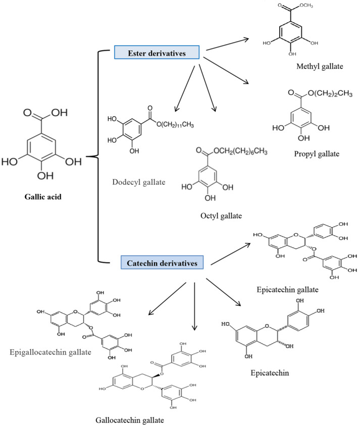 FIGURE 1