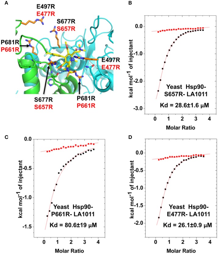 Figure 9