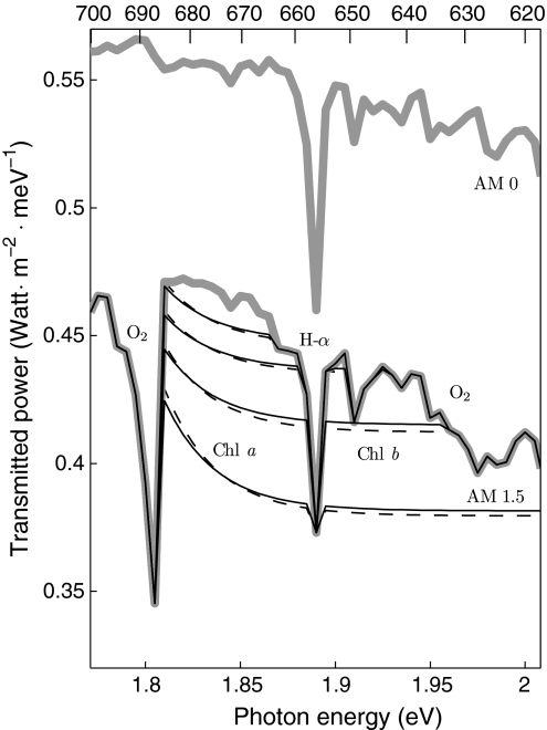 Fig. 3