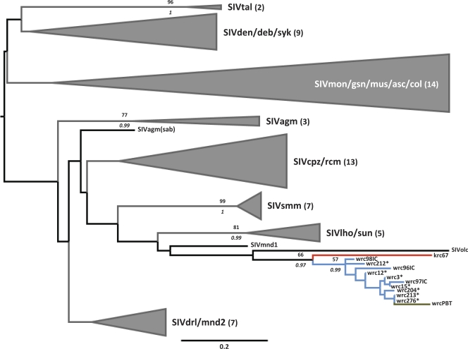 FIG. 1.