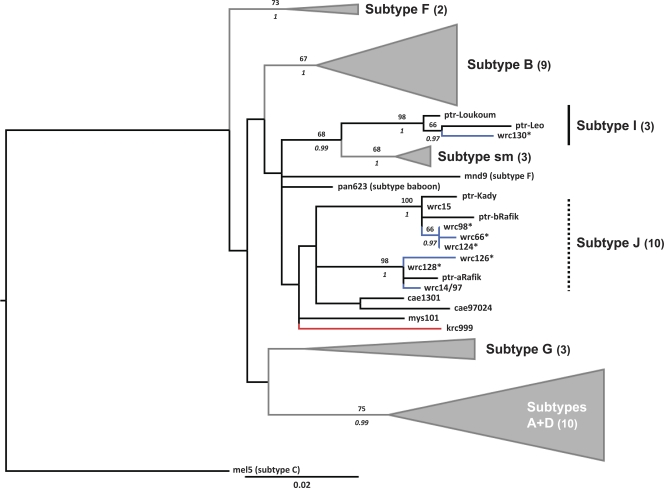 FIG. 2.