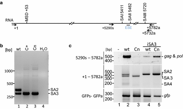 Fig. 3