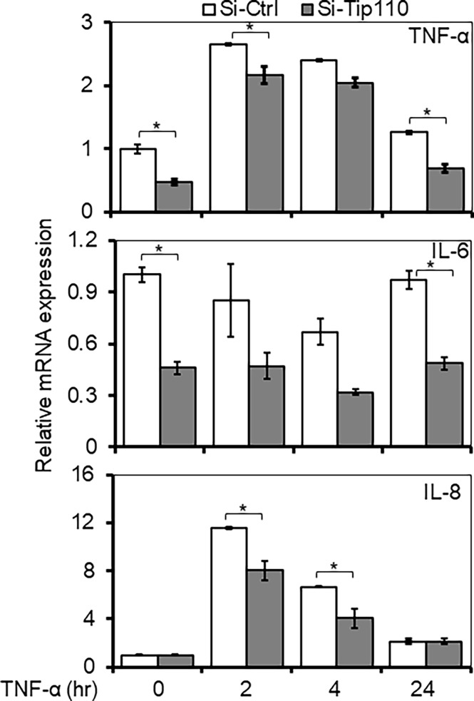 Figure 6